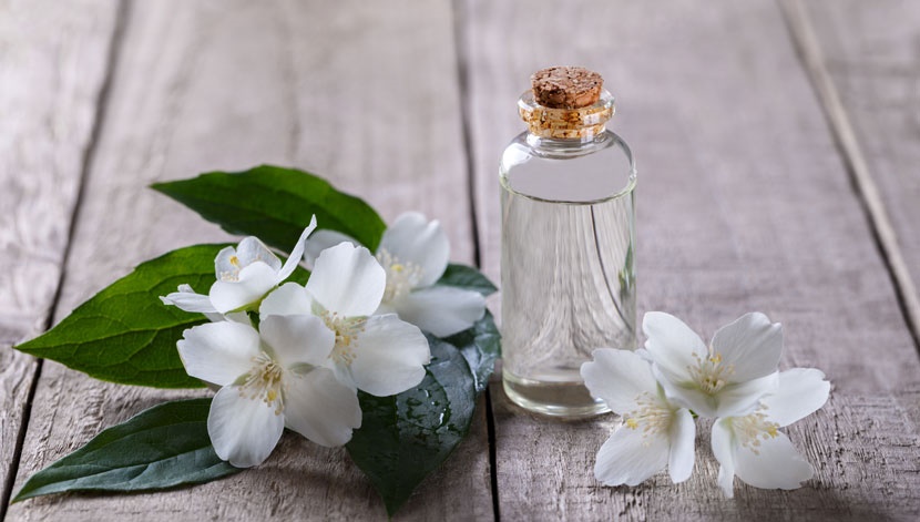 jasmine-essential-oil